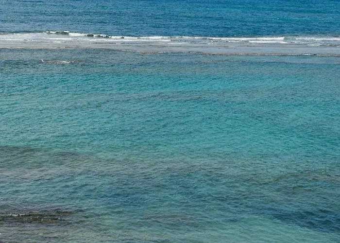 Chez Abel Лас-Пальмас-де-Гран-Канарія